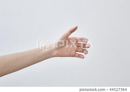 Empty Female hand holding Empty Female hand holding 44527364