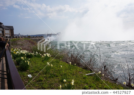 尼亞加拉大瀑布 44527927