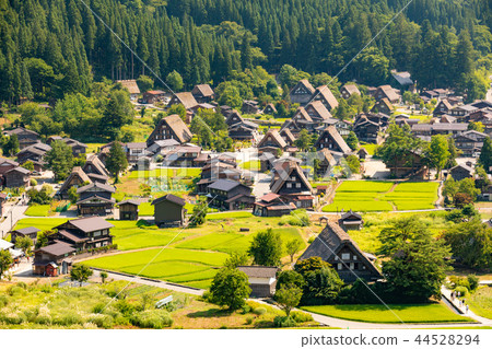 Gifu · Midsummer Hida Shirakawago · Gassho sashimi 44528294
