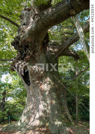Kanayama Castle ruins Nitta Shrine Daisen City Kanayama Ota City 44528934