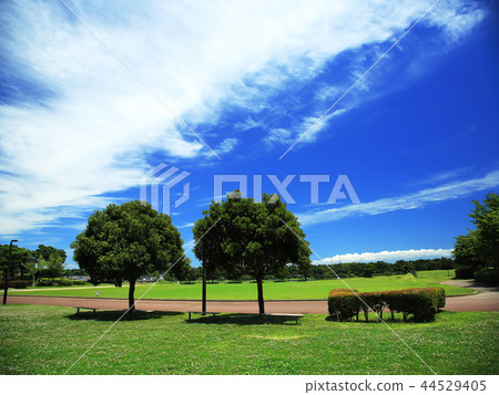 Image of green and clouds 44529405