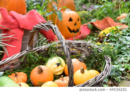 Halloween image 44530281