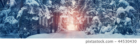 road in snowy winter on beautiful sunny day road in snowy winter on beautiful sunny day 44530430