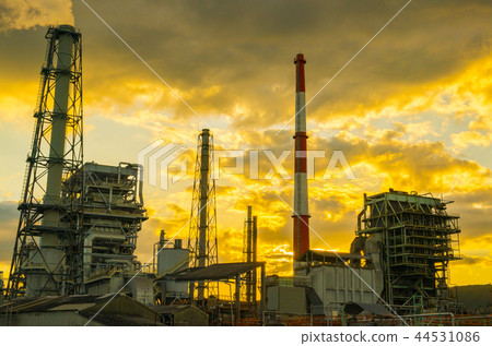 The jaundice complex 44531086