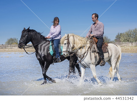 riders on the beach 44531342