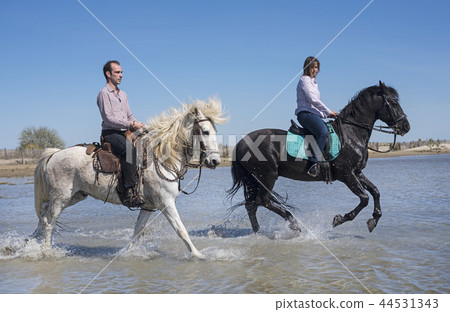 riders on the beach 44531343