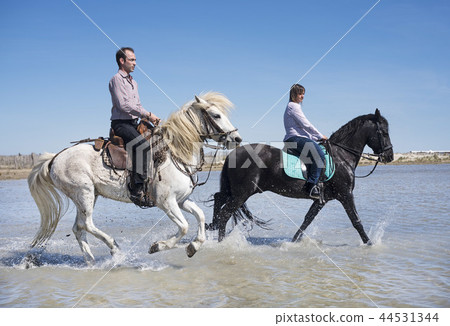 riders on the beach 44531344