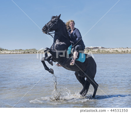 riding woman on the beach 44531350