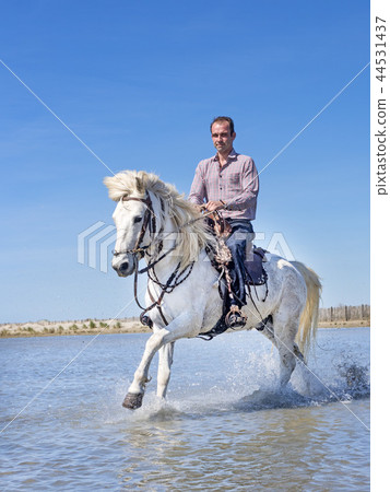 rider and horse on the beach 44531437