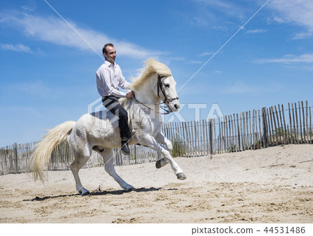 riding man on the beach 44531486
