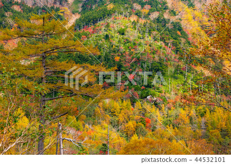 Oku Nikko Kinseien秋葉a 44532101