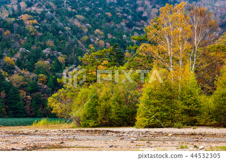 Autumn leaves on the shore of Lake Yunoko c Autumn leaves on the shore of Lake Yunoko c 44532305