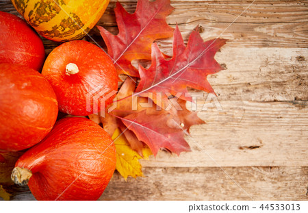 Autumn pumpkins on wood Autumn pumpkins on wood 44533013