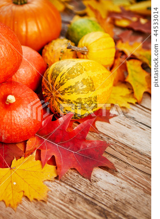 Autumn pumpkins on wood Autumn pumpkins on wood 44533014