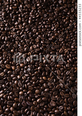 roasted coffee beans, can be used as a background roasted coffee beans, can be used as a background 44533233