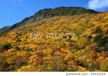 Adatarayama秋葉 44533264