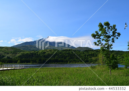 Rishiri Island Otatomari Swamp Rishiri Island Otatomari Swamp 44533332
