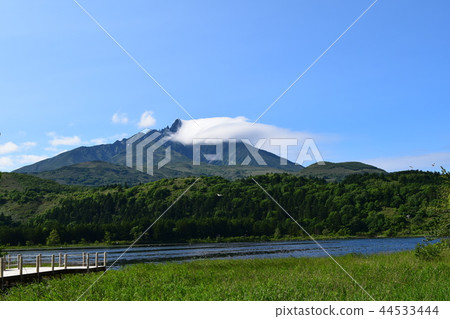 Rishiri Island Otatomari Swamp Rishiri Island Otatomari Swamp 44533444