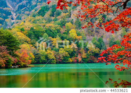 Autumn leaves e-2 red branch over Oku Nikko Yuko Lake 44533621