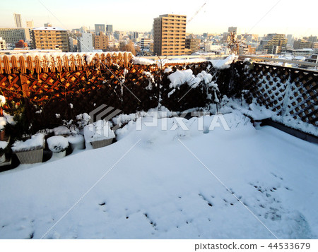Morning snow veranda Morning snow veranda 44533679