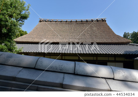 金剛寺 金剛寺 44534034
