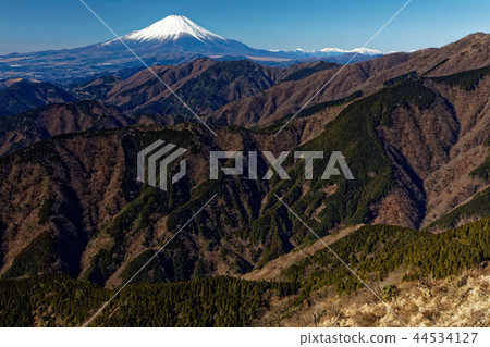 Mt. Fuji in winter seen from the Tanzawa Omote ridge and Sannoto Mt. Fuji in winter seen from the Tanzawa Omote ridge and Sannoto 44534127