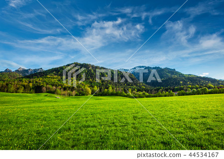 Alpine meadow in Bavaria, Germany Alpine meadow in Bavaria, Germany 44534167