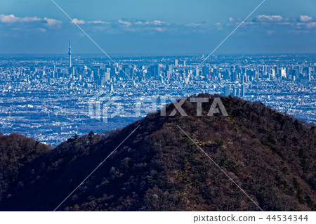 東京天空樹從Tanzawa Omote山脊和Sannotou看到 44534344