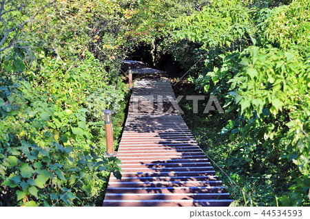 It is Olle Road in Jeju Autumn. It is Olle Road in Jeju Autumn. 44534593