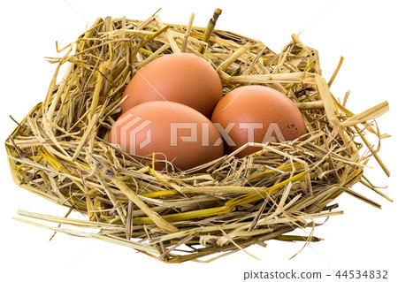 Chicken eggs 44534832