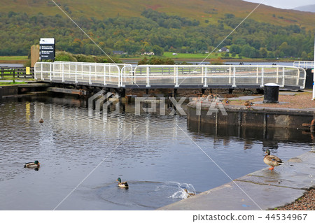 Scotland landscape Scotland landscape 44534967