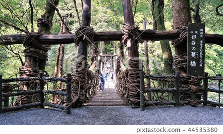 Izu no Kazura Bridge 1 44535380