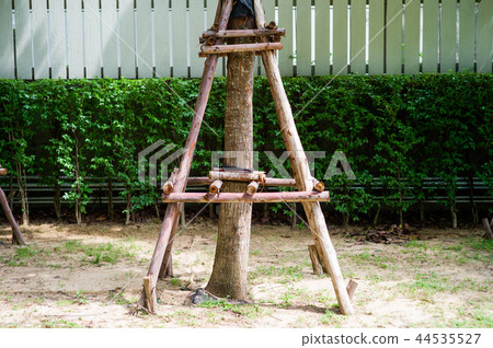 The trees supported by the timbers The trees supported by the timbers 44535527