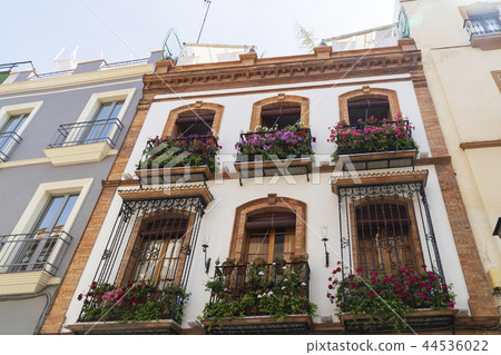 Sevilla, Andalucia, Spain 44536022