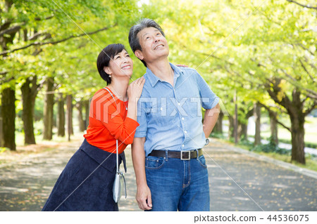 恩愛夫妻秋天步行方式銀杏排行高級夫婦 44536075