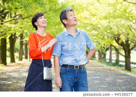 Loving couple Autumn walk way Ginkgo lined senior couple Loving couple Autumn walk way Ginkgo lined senior couple 44536077