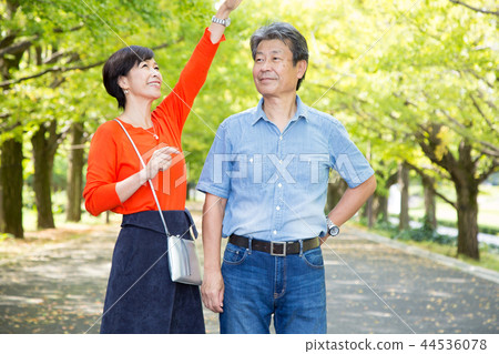 恩愛夫妻秋天步行方式銀杏排行高級夫婦 44536078