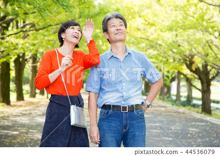 恩愛夫妻秋天步行方式銀杏排行高級夫婦 44536079