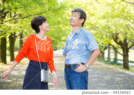 Loving couple Autumn walk way Ginkgo lined senior couple 44536081