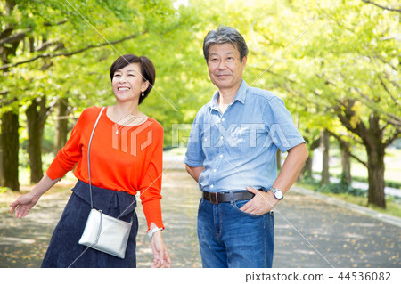 恩愛夫妻秋天步行方式銀杏排行高級夫婦 44536082