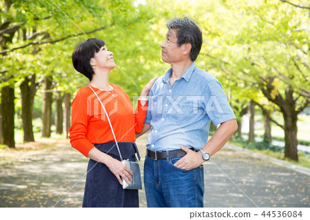 Loving couple Autumn walk way Ginkgo lined senior couple 44536084