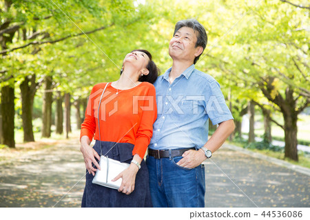 Loving couple Autumn walk way Ginkgo lined senior couple Loving couple Autumn walk way Ginkgo lined senior couple 44536086