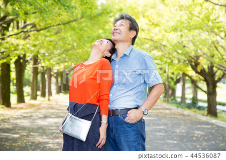 Loving couple Autumn walk way Ginkgo lined senior couple 44536087