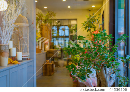 花店花店 花店花店 44536306