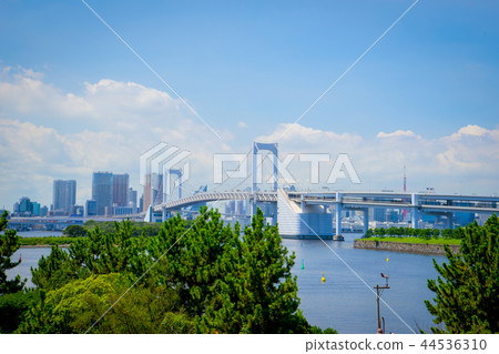 Odaiba Rainbow Bridge Clear weather Odaiba Rainbow Bridge Clear weather 44536310