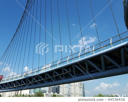 Seokgang Bridge, Seokgang Ecological Park, Yeouido, Seoul 44536438