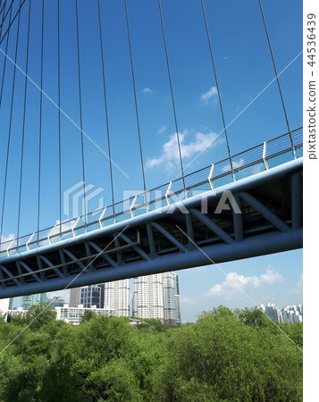 Seokgang Bridge, Seokgang Ecological Park, Yeouido, Seoul 44536439