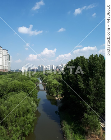 Seokgang Ecological Park, Yeouido, Seoul 44536610
