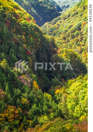 長野縣Chino City Tateshin高原Yokotani Kannon天文台 長野縣Chino City Tateshin高原Yokotani Kannon天文台 44536836