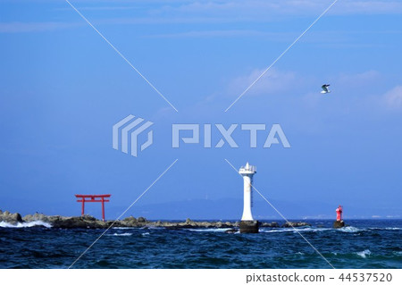 燈塔,鳥居和海鷗 燈塔,鳥居和海鷗 44537520